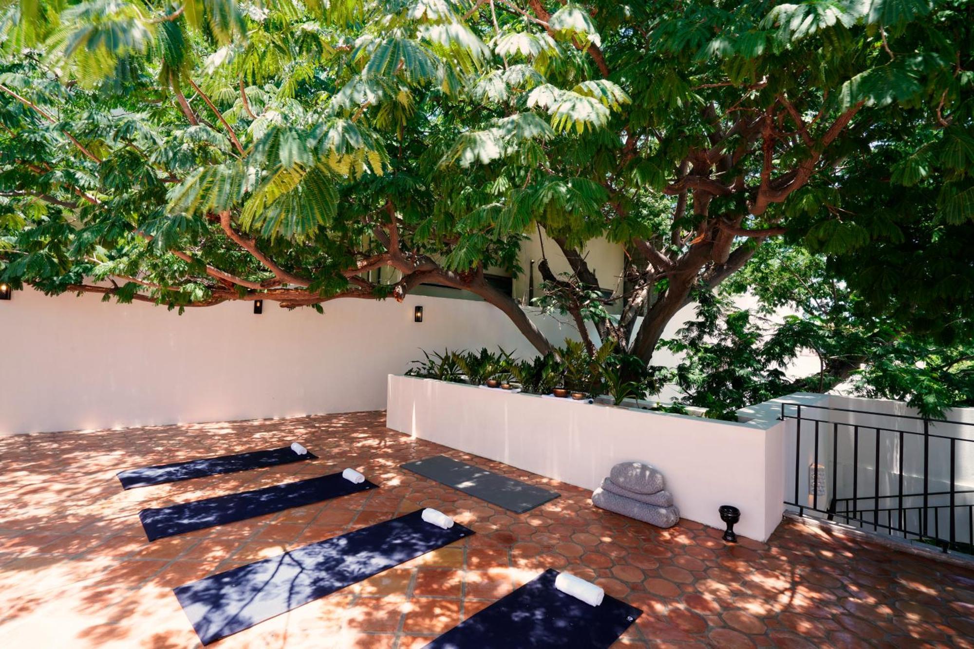 Tropicana Los Cabos, Tapestry Collection By Hilton San Jose del Cabo Exterior photo